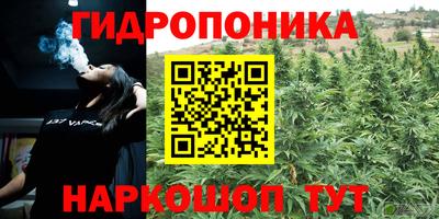 дурь Лесосибирск