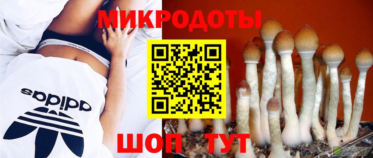 Галлюциногенные грибы ЛСД Топки