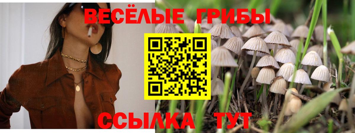 Псилоцибиновые грибы Psilocybine cubensis  Псилоцибиновые грибы Magic Shrooms  Топки  Вход с VPN 